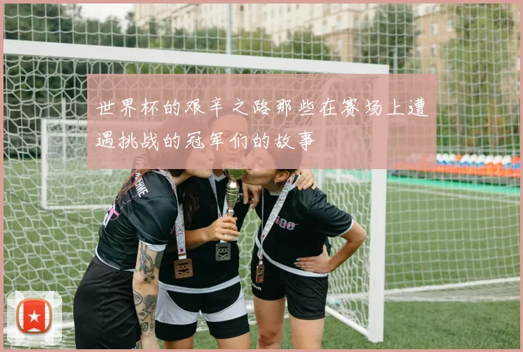 世界杯的艰辛之路那些在赛场上遭遇挑战的冠军们的故事